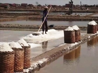 Petani Garam Tersedak Revisi Aturan Impor