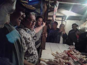 Komisi Pengawas Persaingan Usaha Telusuri Dugaan Monopoli Bibit Ayam