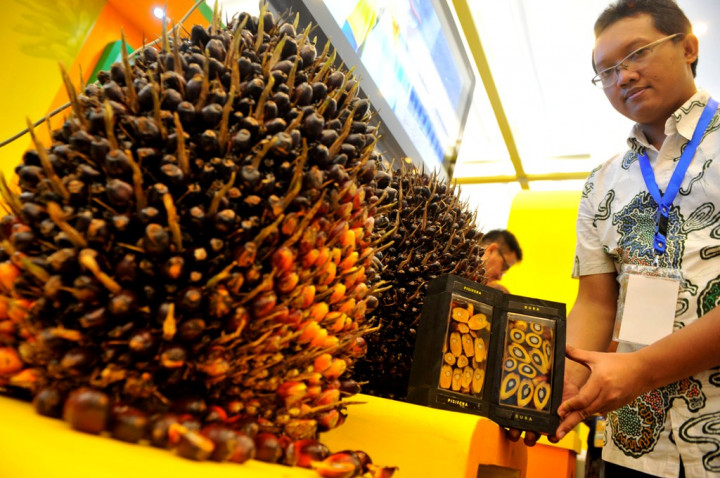 Bahas Dana Pungutan Sawit, Empat Menteri Merapat ke Kantor Darmin