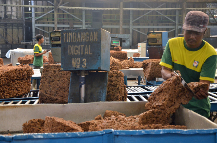 Dapat <i>Tax Holiday</i>, Chandra Asri Kebut Bangun Pabrik