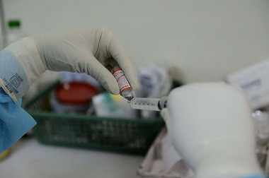 Flu Babi Tewaskan 50 Orang di Rusia