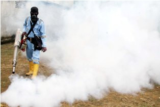 Ahok: Belum Ada Laporan Warga Terinfeksi Virus Zika