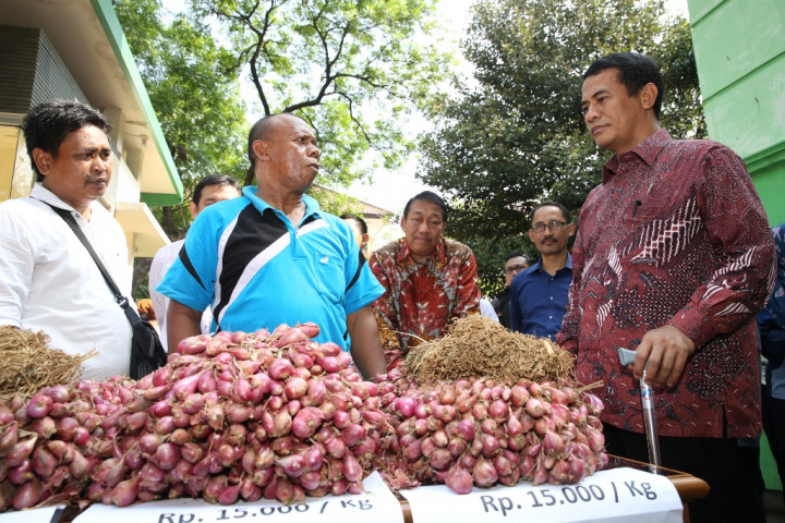 Ekspor Bawang Merah Meroket 219%