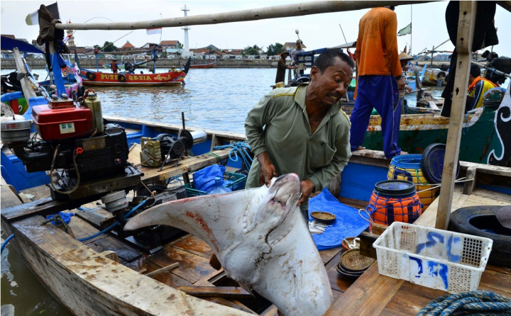 5.000 Konverter Kit untuk Nelayan Siap Dibagikan