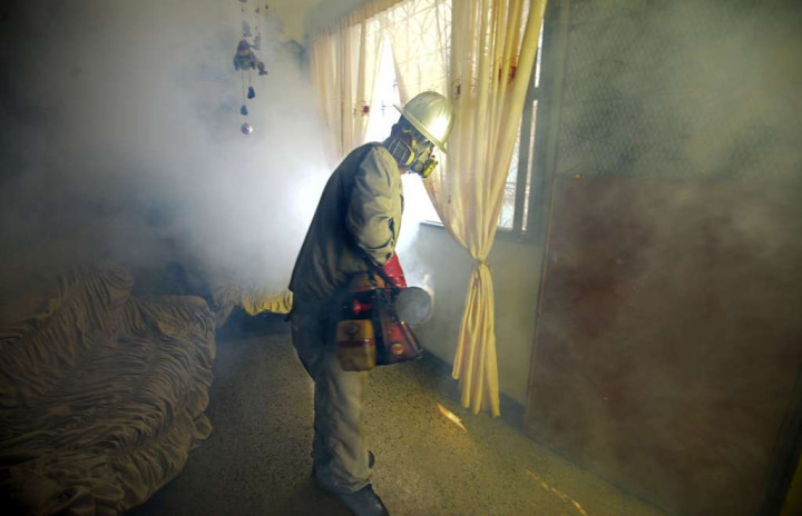 Jerman Akui Ada Lima Kasus Virus Zika