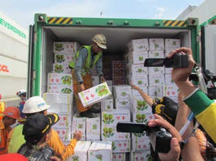 4 Kontainer Buah Impor Ilegal Diamankan