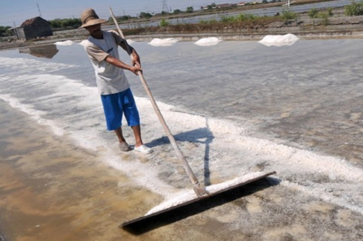 Petani Jatim Tolak Peraturan Soal Garam