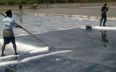 Permendag tentang Garam Dinilai `Mencekik` Petani Garam