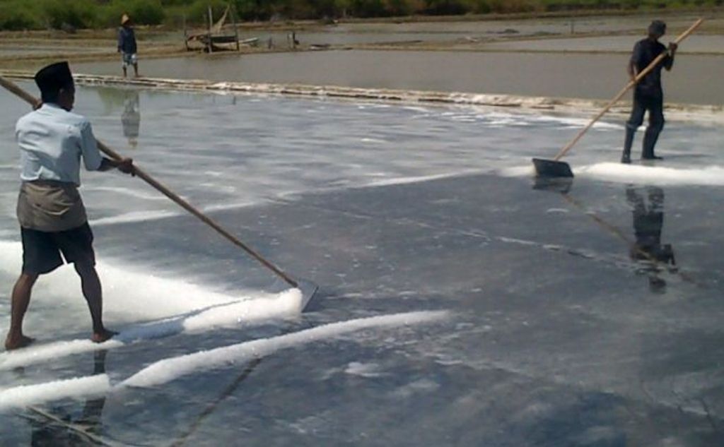Petani garam sedang memanen garam. Foto: Metrotvnews.com/Agus Josiandi 
