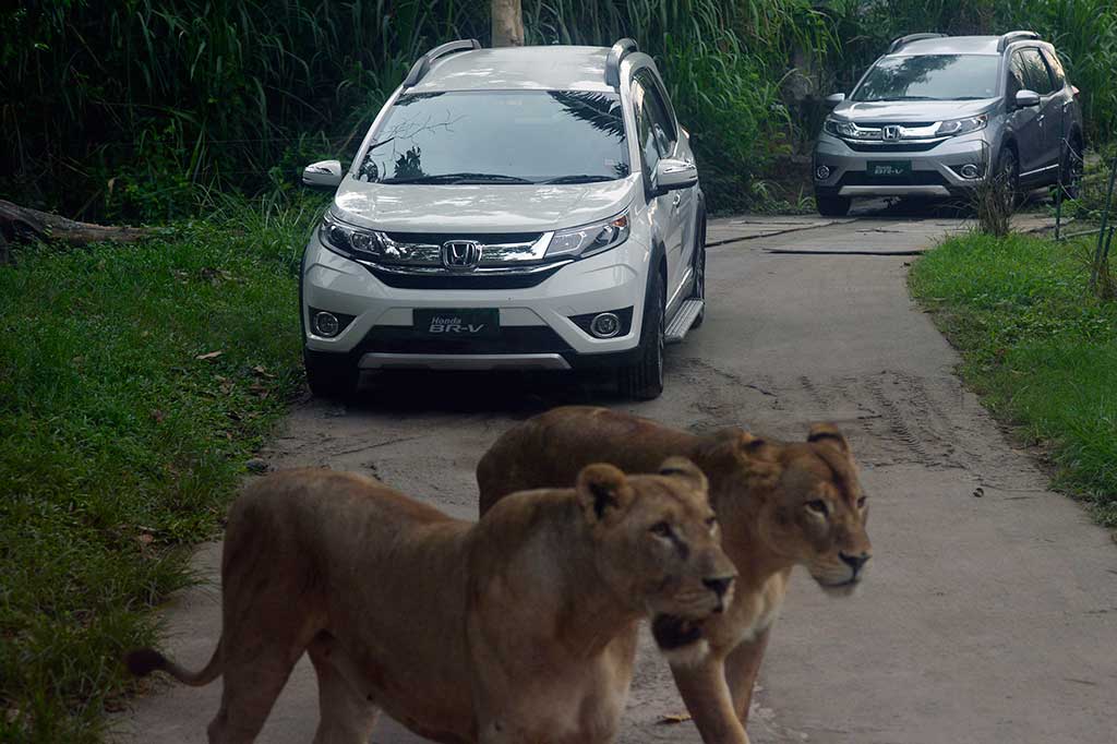 Test Drive Honda BR-V