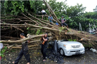 Pohon Tumbang di Radio Dalam Timpa Mobil