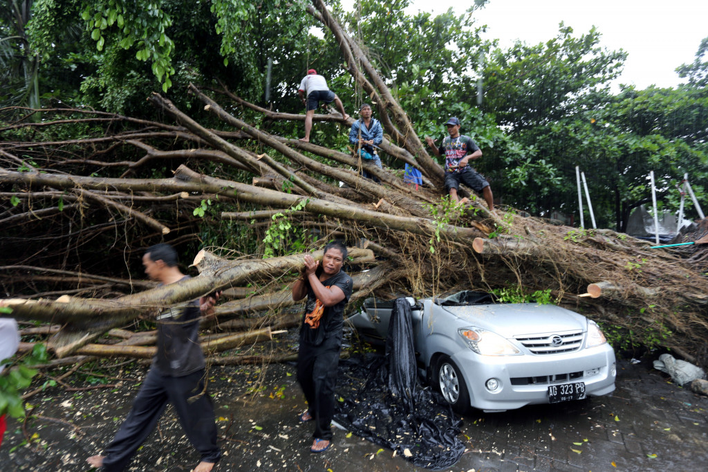 Warga berusaha mengevakuasi mobil yang tertimpa pohon tumbang akibat tiupan angin puting beliung di kawasan wisata Makam Presiden Soekarno di Kota Blitar, Jawa Timur, Rabu (27/1). Foto: ANTARA FOTO/Irfan Anshori.