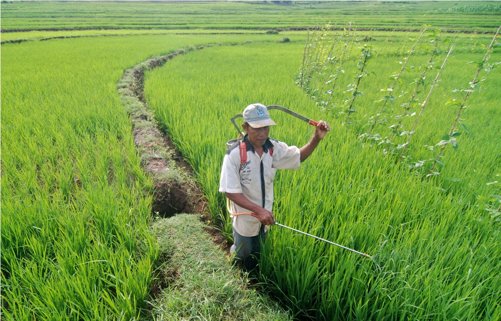 Ilustrasi (ANTARA FOTO/Aditya Pradana Putra)