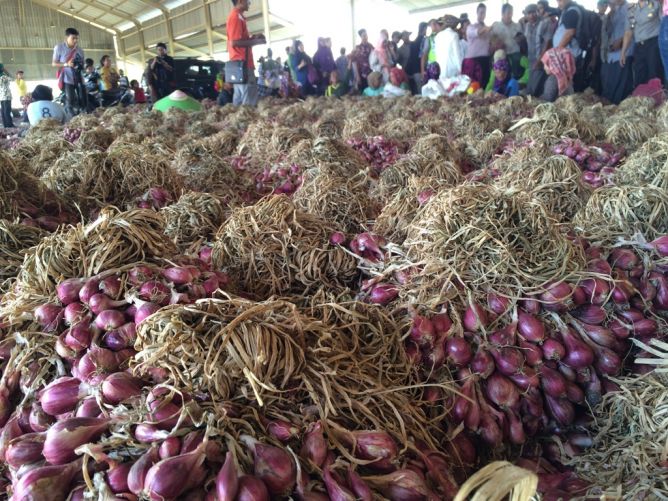 Sentra produksi bawang di Luwungragi, Brebes. (Ilustrasi FOTO: MTVN/Husen Miftahudin). 
