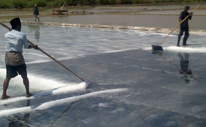 Kurangi Impor, Produksi Garam Lokal Digenjot