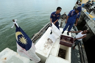 Penyelundup 45 Ton Ikan Diganjar 22 Bulan Penjara