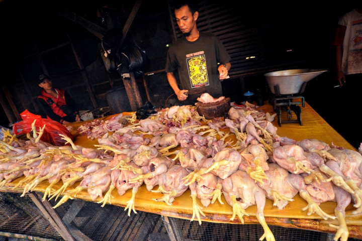 Harga Daging Ayam Beku di Ambon Naik