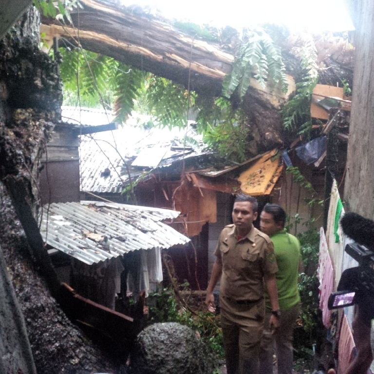 Pohon tumbang menimpa rumah warga di  Jalan Mantri, Kelurahan Aur, Kecamatan Medan Maimun, Medan, Sumatera Utara, Rabu 10 Februari 2016 (Foto: MTVN/Budi Warsito)