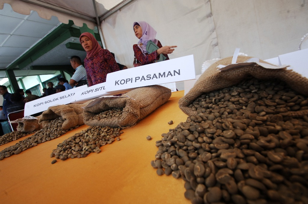 Kebutuhan Melonjak Produksi Kopi Indonesia Malah Melempem