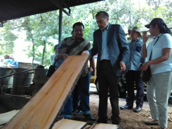 Gegara Permendag, Lisensi FLEGT Bisa Tertunda