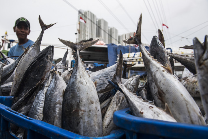 Fishery Sector Ready to Compete in AEC