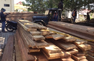 Polisi Sita 6,5 Kubik Kayu Ilegal