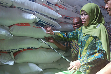 Mensos Pantau Pengemasan Ulang Beras Rastra di Kaltim 