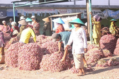 Petani tak Nikmati Harga Tinggi Bawang Merah
