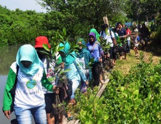 Seorang Gadis Tewas Tertimpa Pohon di Kawasan Puncak