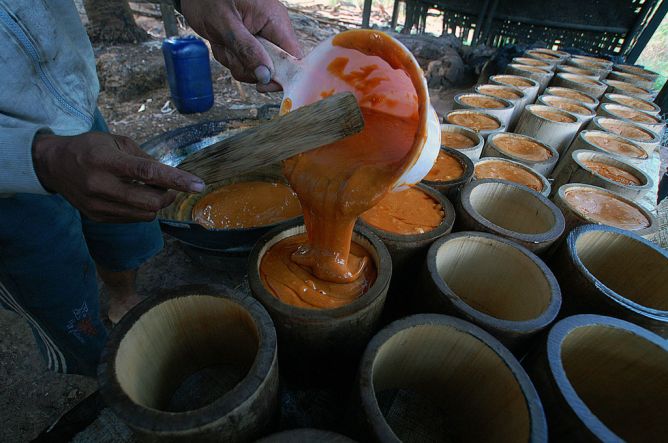 Sulut Perlu Dorong Industri Gula Kelapa