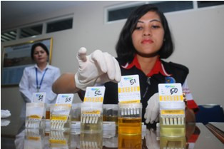 BNN Periksa Urine Kader PKS di DPR