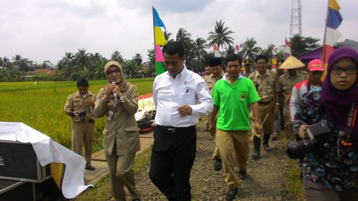 Jaga Harga Gabah, Mentan Minta Bulog Bekerja Maksimal