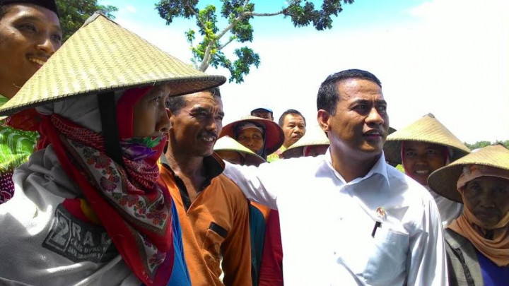 Sejumlah Desa di Jatim Belum 'Tersentuh' Bulog