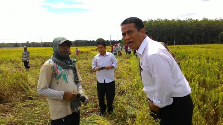 Saat <i>Blusukan</i>, Mentan Tidak Dikenal Petani Ngawi