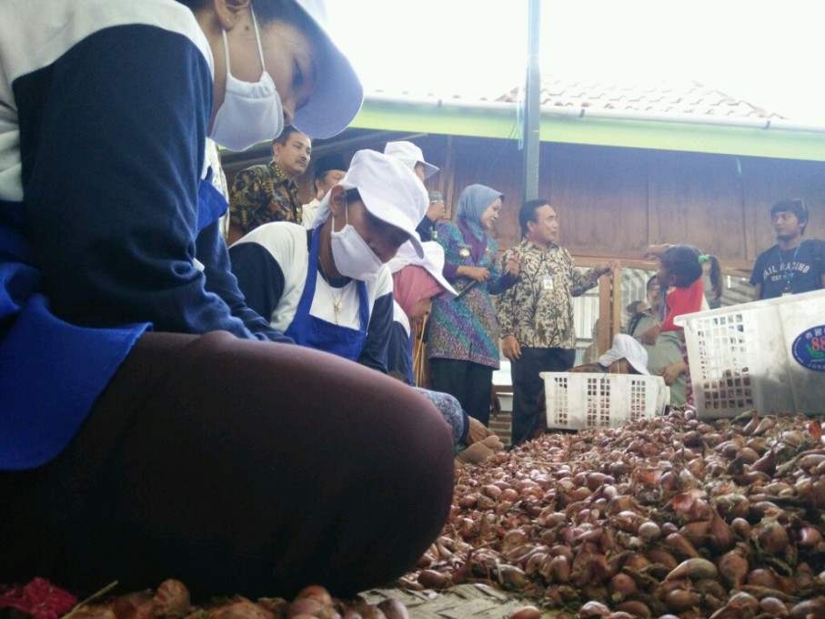 Pusat pelatihan budidaya bawang merah di Desa Pakijangan, Kecamatan Bulakamba, Brebes.  (Metrotvnews.com/Kuntoro Tayubi)