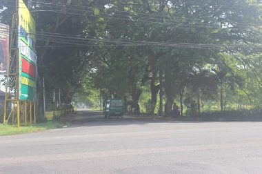 Pohon Rimbun, 'Alasan' Mesum di Sekitar Terminal