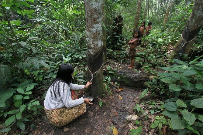 Pemerintah Dorong Serapan Karet Dalam Negeri