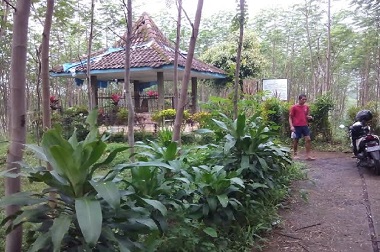 Arkeolog: Tak Ada Kaitan Gerhana dengan Kehidupan Masyarakat Jawa Kuno