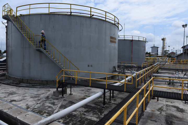 Energy Ministry to Trim Licenses from 89 into 10