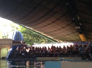 Pelajar Amati Perubahan Perilaku Satwa saat GMT