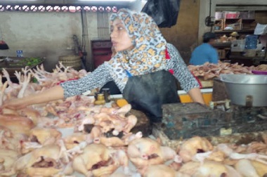 Dalam Sepekan, Harga Daging Ayam Naik Rp1.000 Tiap Hari
