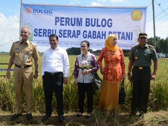 Mentan Minta Satu Penyuluh Serap 1.000 Ton Gabah