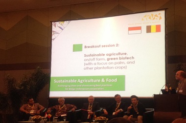 Belgia Nilai Kelapa Sawit Aset Agrobisnis Terbaik Indonesia