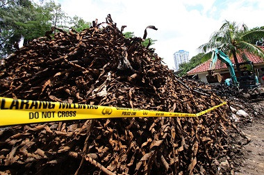 Emil Menduga Sampah Kabel Menumpuk karena Kontraktor Ceroboh