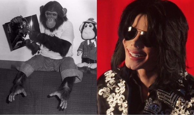 Kisah Simpanse Peliharaan Michael Jackson akan Dibuat Film Animasi