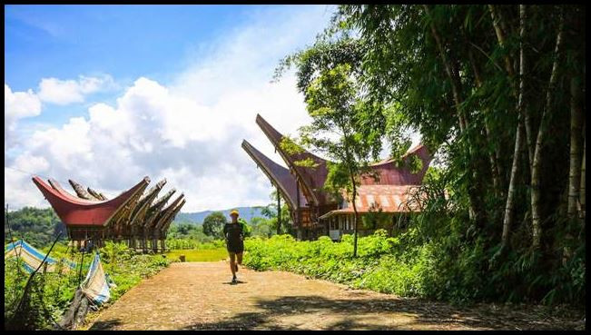 Menikmati Marathon di Pegunungan Toraja