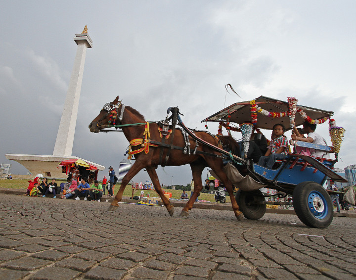 28 Kuda Delman Monas Bakal Dipindahkan ke Ragunan