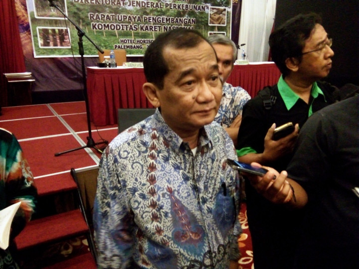 BUMN Diharap Serap Karet di Harga Rp10.000/Kg