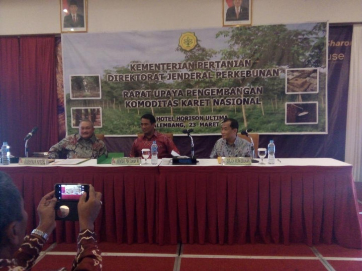 Atasi Merosotnya Ekspor Batu Bara dengan Pembangunan Industri Karet