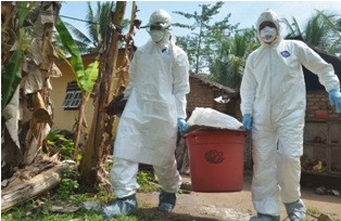 Merebak Flu Burung, Kesehatan Warga Cilandak Diawasi Ketat